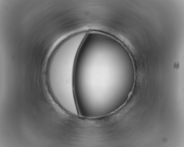 X0000091930976200709051237