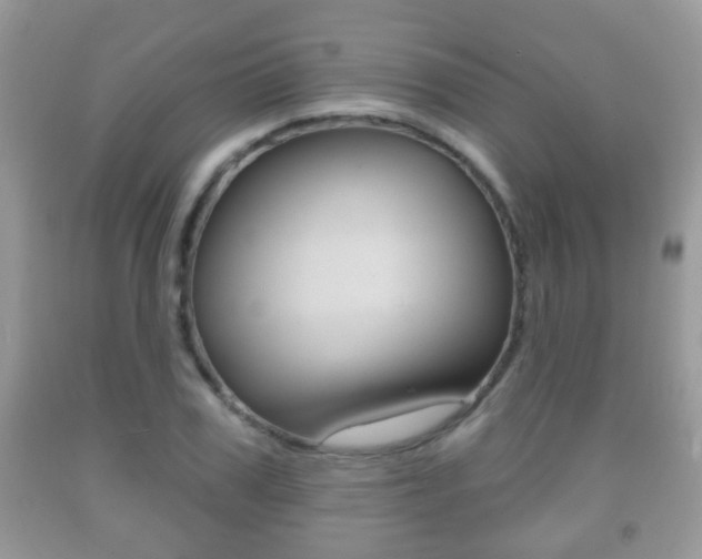 X0000091930979200709051237