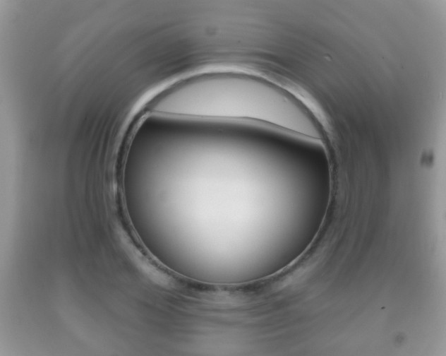 X0000091930980200709051237