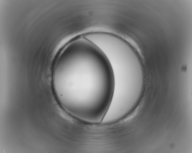 X0000091930981200709051237