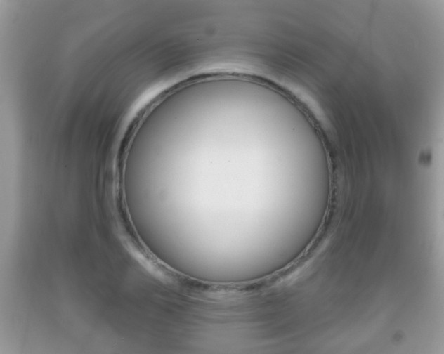 X0000091930982200709051237