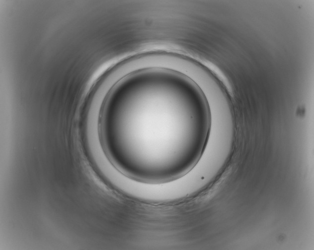 X0000091930983200709051237