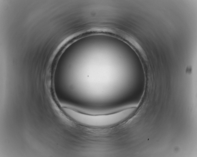 X0000091930984200709051237