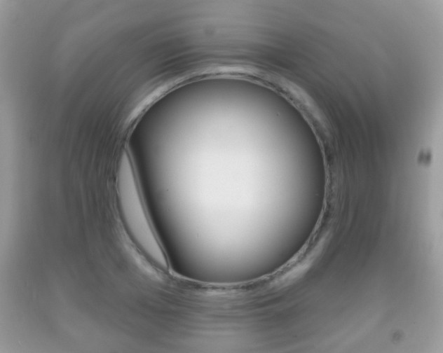 X0000091930985200709051237