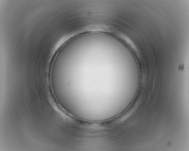 X0000091930986200709051237