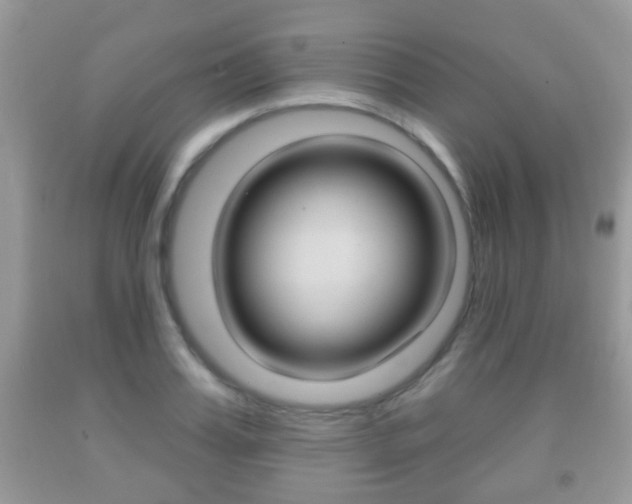 X0000091930987200709051237