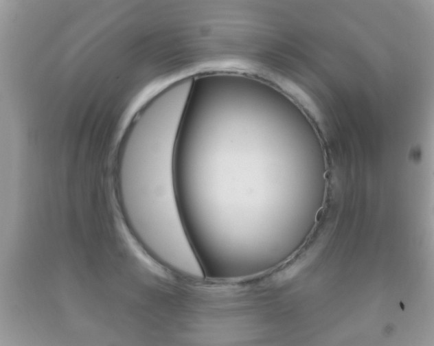 X0000091930989200709051237