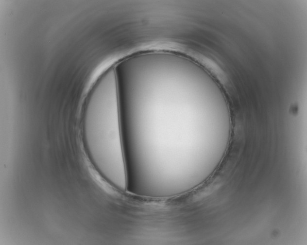 X0000091930990200709051237