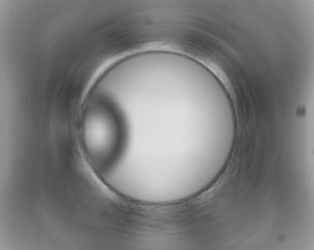 X0000091930992200709051237