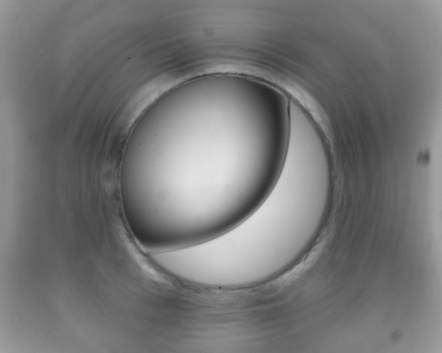 X0000091930993200709051237
