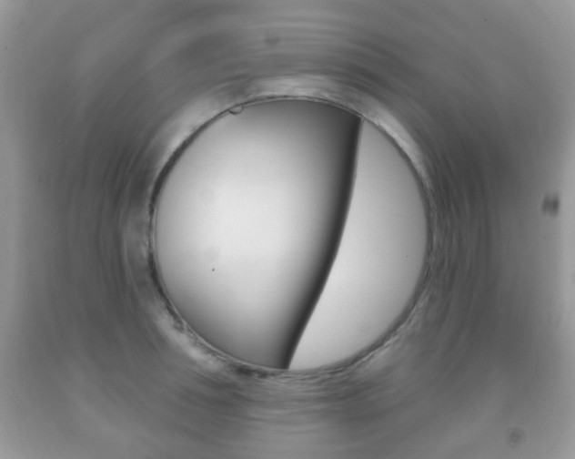 X0000091930994200709051237