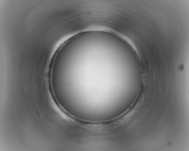 X0000091930995200709051237