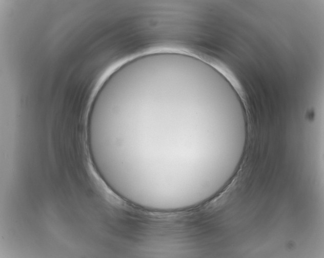 X0000091930996200709051237