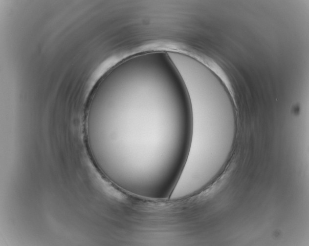 X0000091930997200709051237
