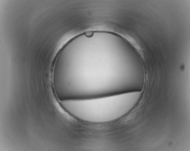 X0000091930998200709051237