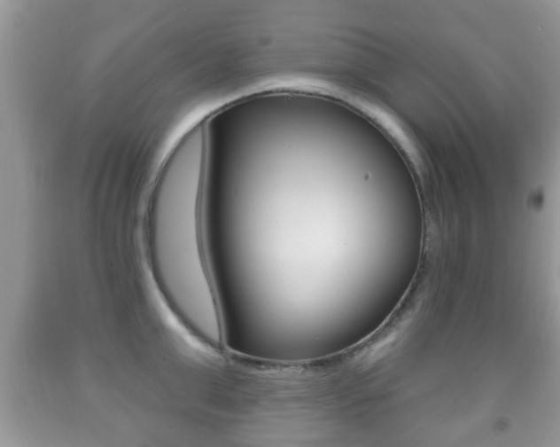 X0000091930999200709051237