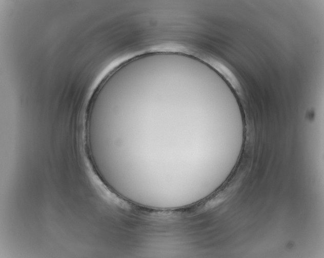X0000091931000200709051237