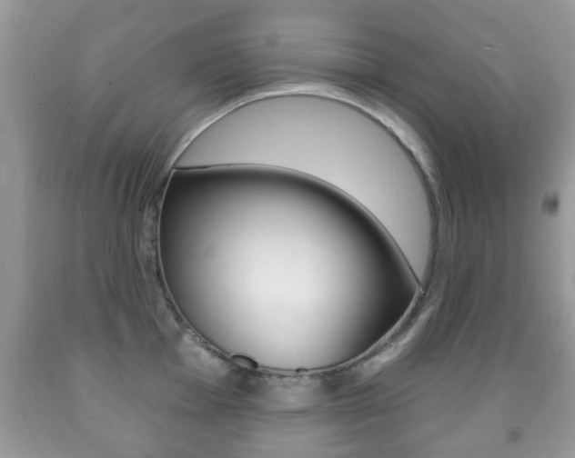 X0000091931001200709051237