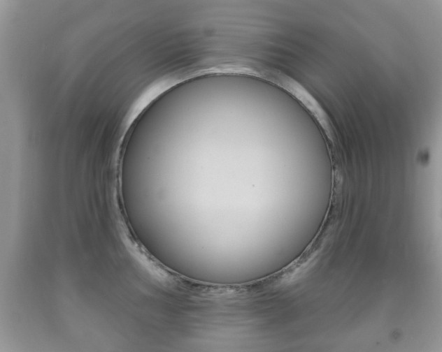 X0000091931002200709051237
