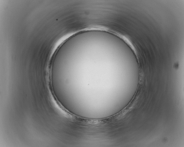 X0000091931003200709051237