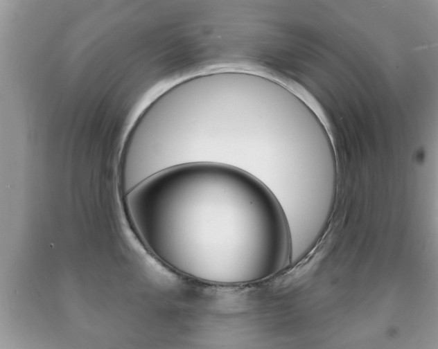 X0000091931005200709051237