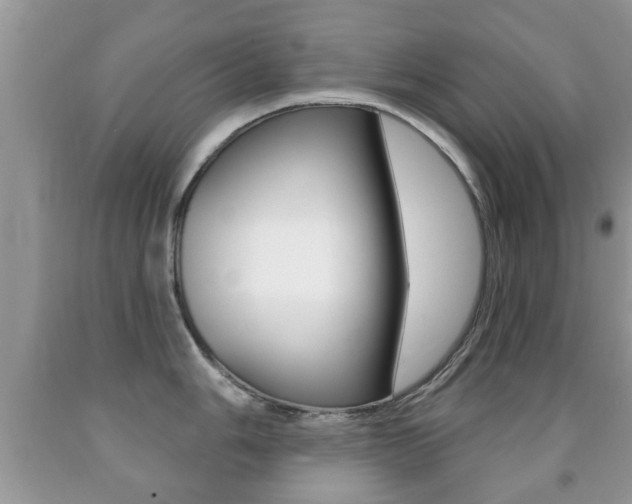 X0000091931006200709051237