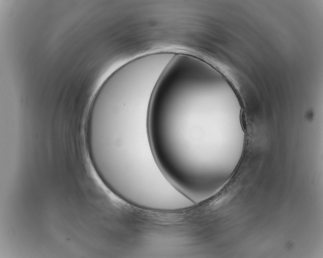 X0000091931007200709051237