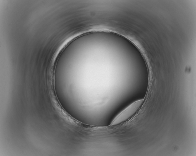 X0000091931008200709051237