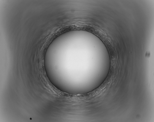 X0000091931009200709051236