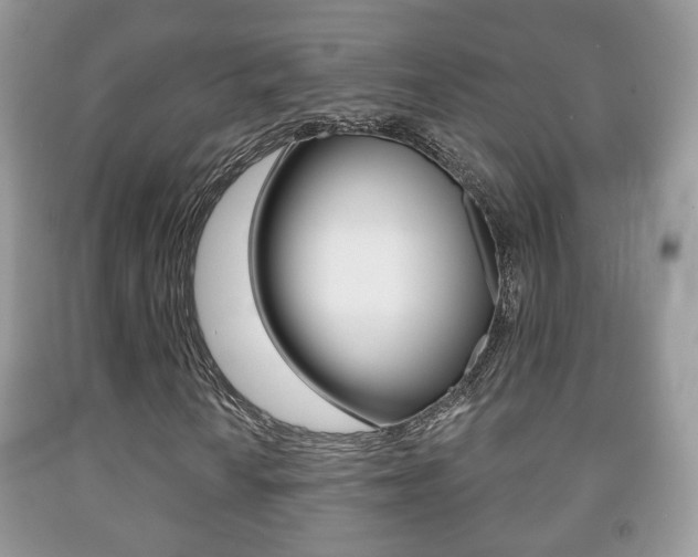 X0000091931010200709051236
