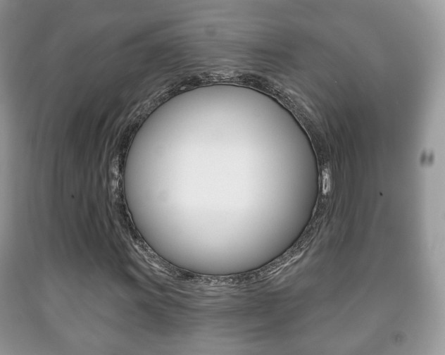 X0000091931011200709051236
