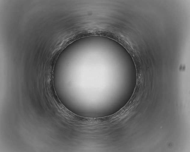 X0000091931012200709051236