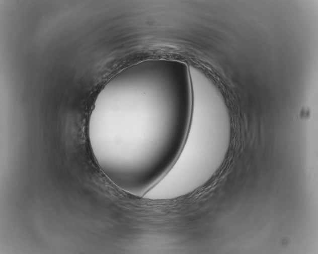X0000091931013200709051236