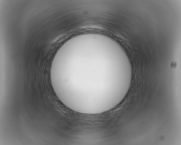 X0000091931014200709051236