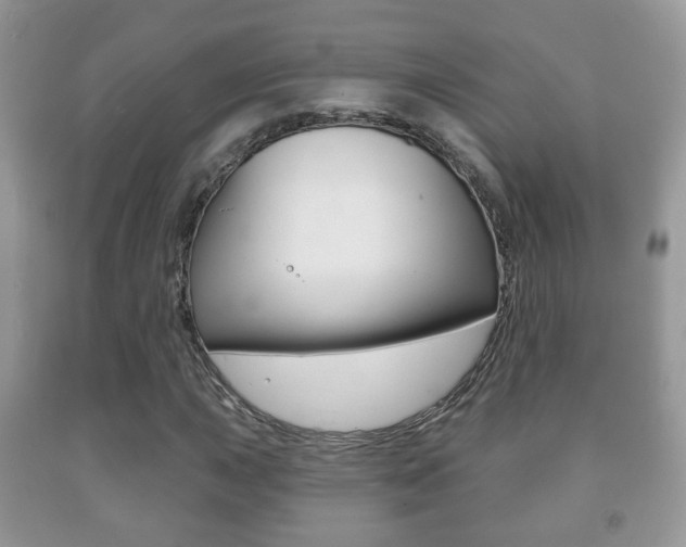 X0000091931015200709051236