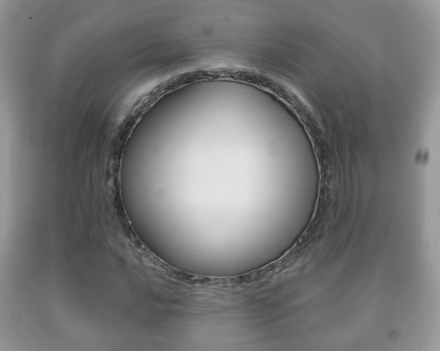 X0000091931016200709051236