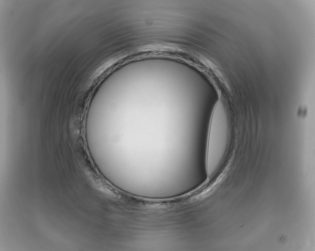 X0000091931017200709051236