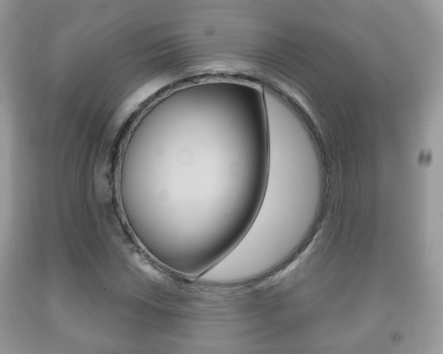 X0000091931018200709051236