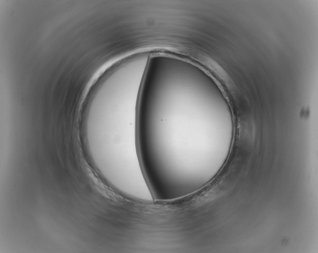 X0000091931020200709051236