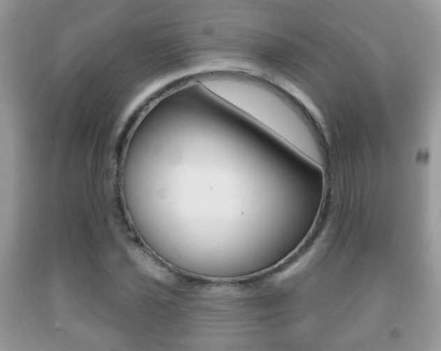 X0000091931021200709051236