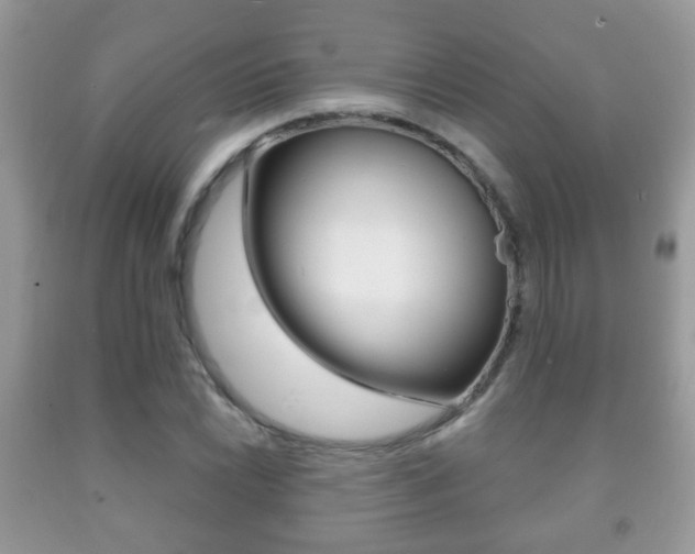 X0000091931022200709051236