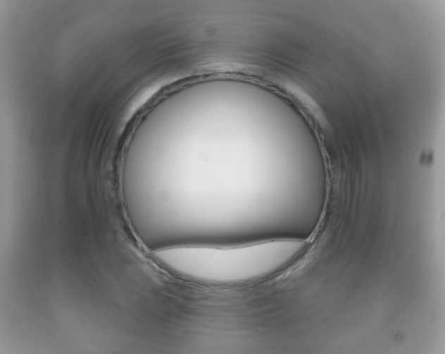 X0000091931023200709051236