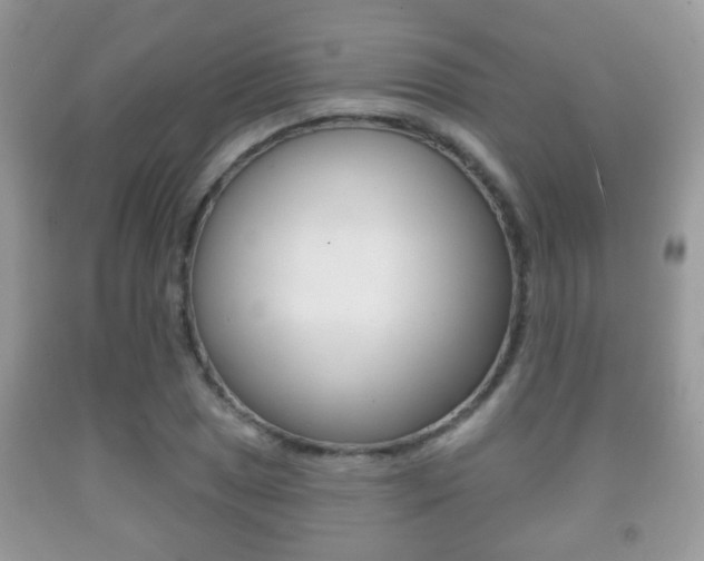 X0000091931025200709051236