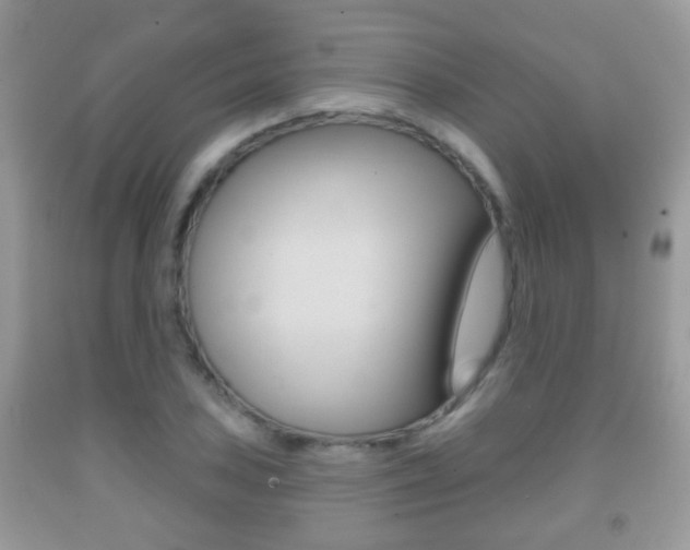 X0000091931027200709051236