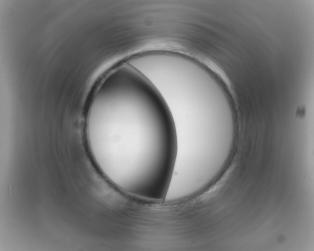 X0000091931029200709051236