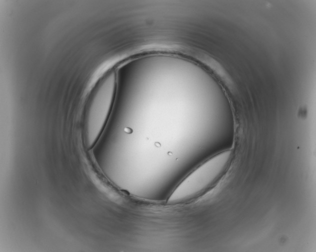 X0000091931030200709051236
