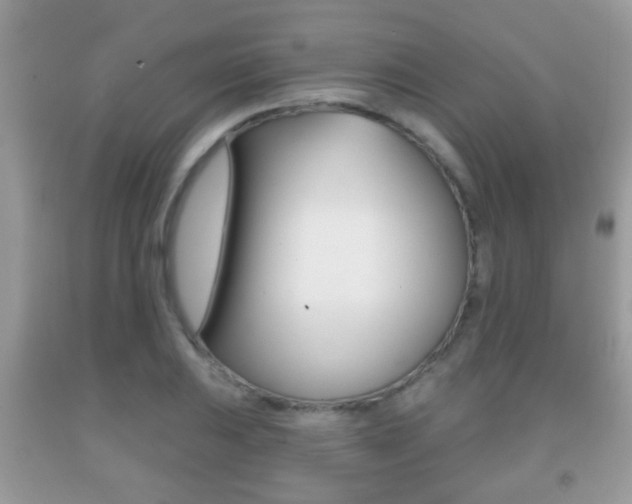 X0000091931031200709051236