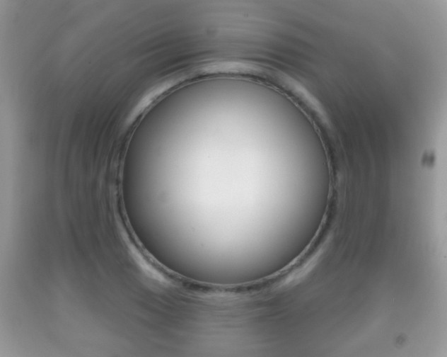 X0000091931033200709051236
