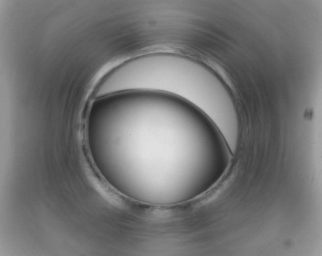 X0000091931034200709051236