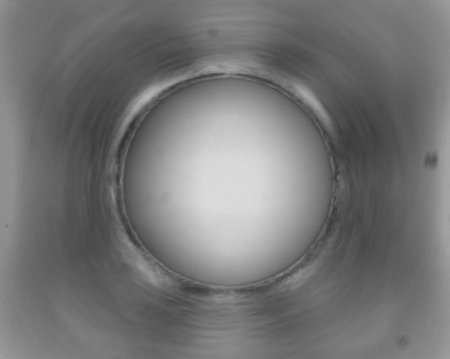 X0000091931035200709051236